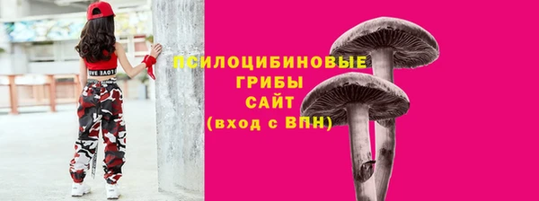 гидропоника Кулебаки