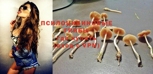 прущая мука Краснослободск