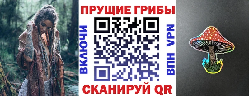купить закладку  Эртиль  Псилоцибиновые грибы MAGIC MUSHROOMS 