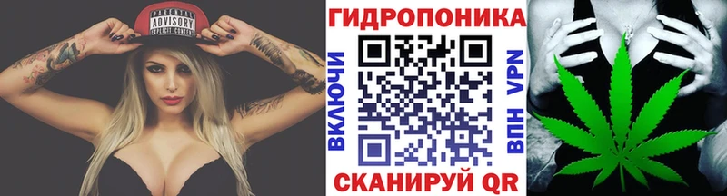 дарнет шоп Эртиль Канабис конопля